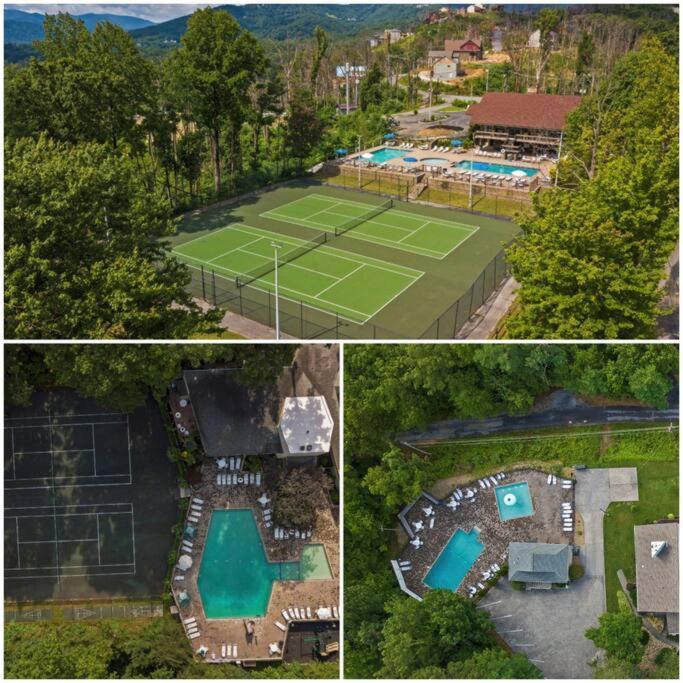 Treetops Chalet - 3Bd/2Bt Boutique Cabin W/Mt Leconte Views In 개틀린버그 외부 사진